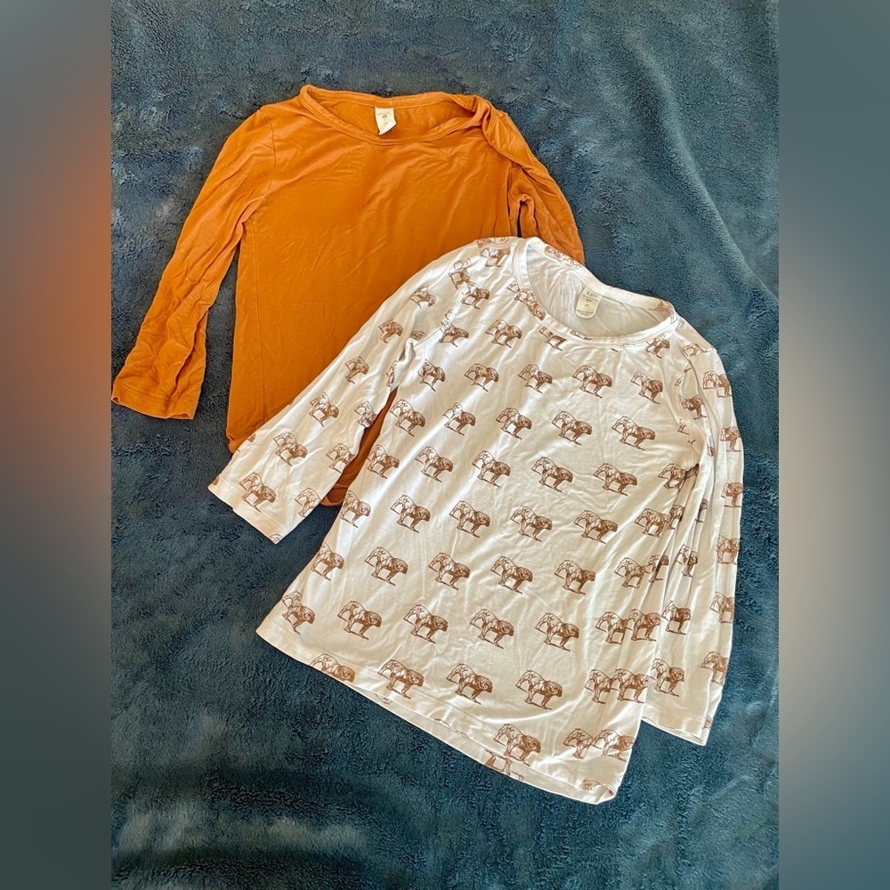 Bundle of two long sleeve shirts by Kate Quinn size 5T